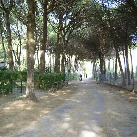 Apartman In 25804 *